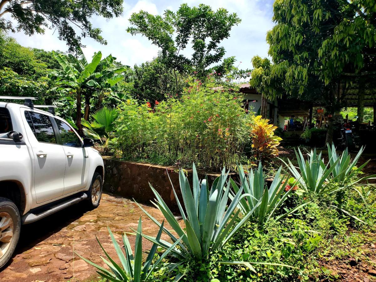 The Jungle Villa Merida Luaran gambar