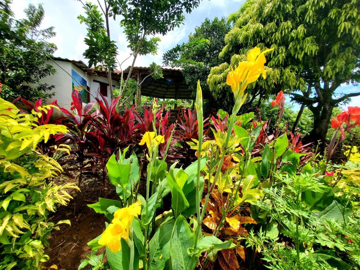 The Jungle Villa Merida Luaran gambar