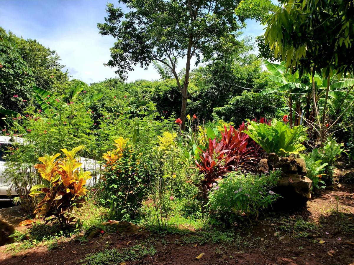 The Jungle Villa Merida Luaran gambar