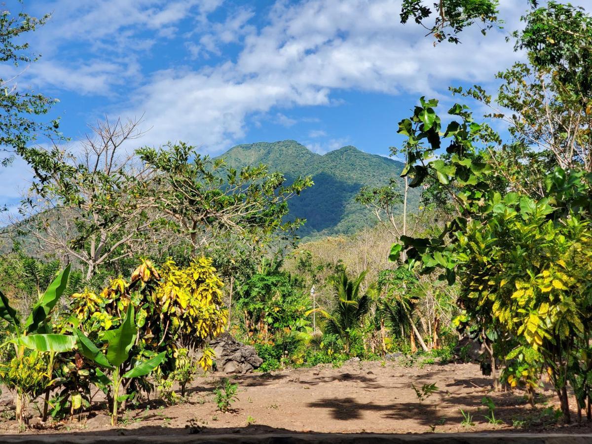 The Jungle Villa Merida Luaran gambar