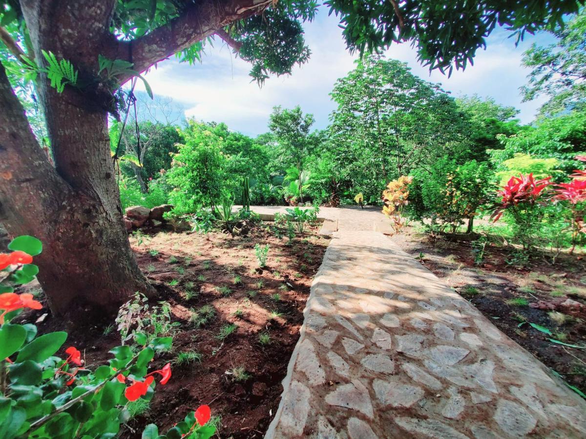 The Jungle Villa Merida Luaran gambar