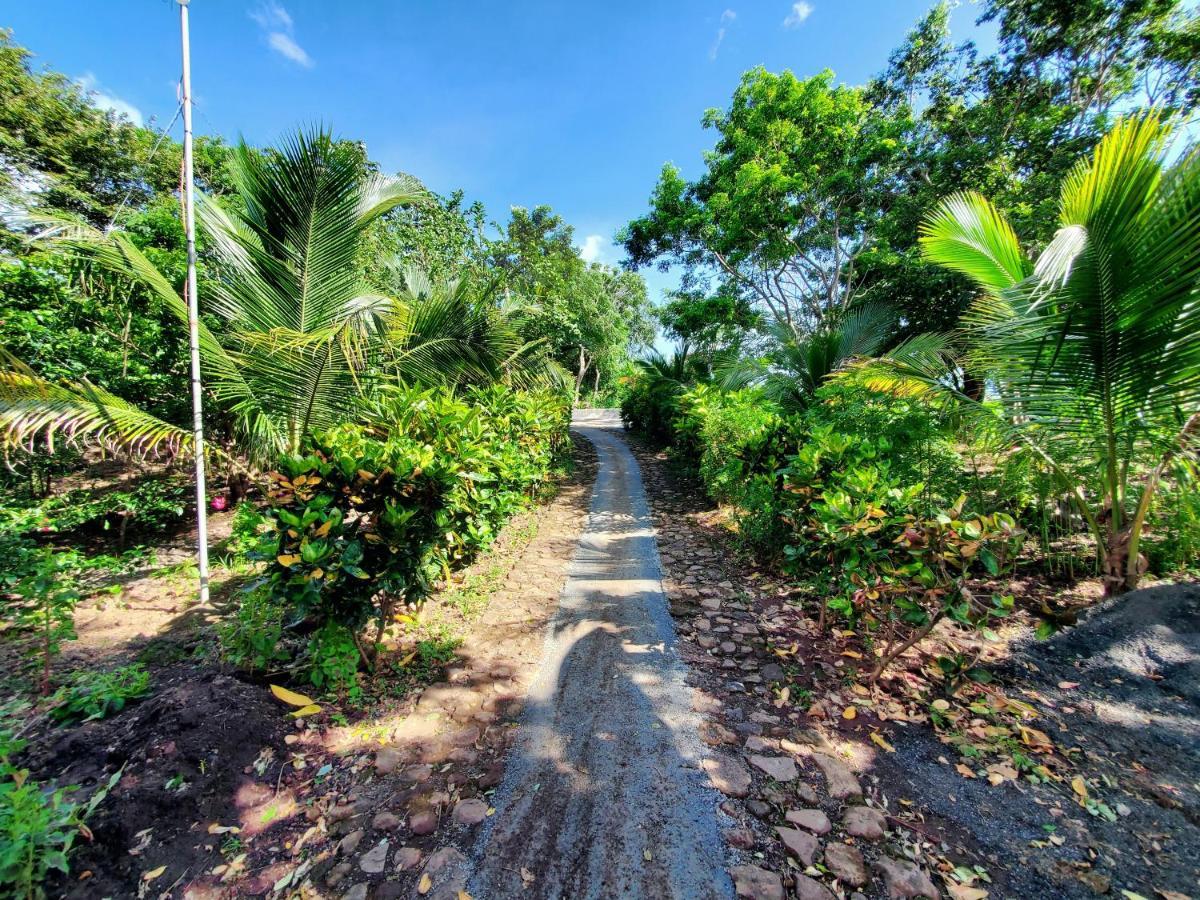 The Jungle Villa Merida Luaran gambar