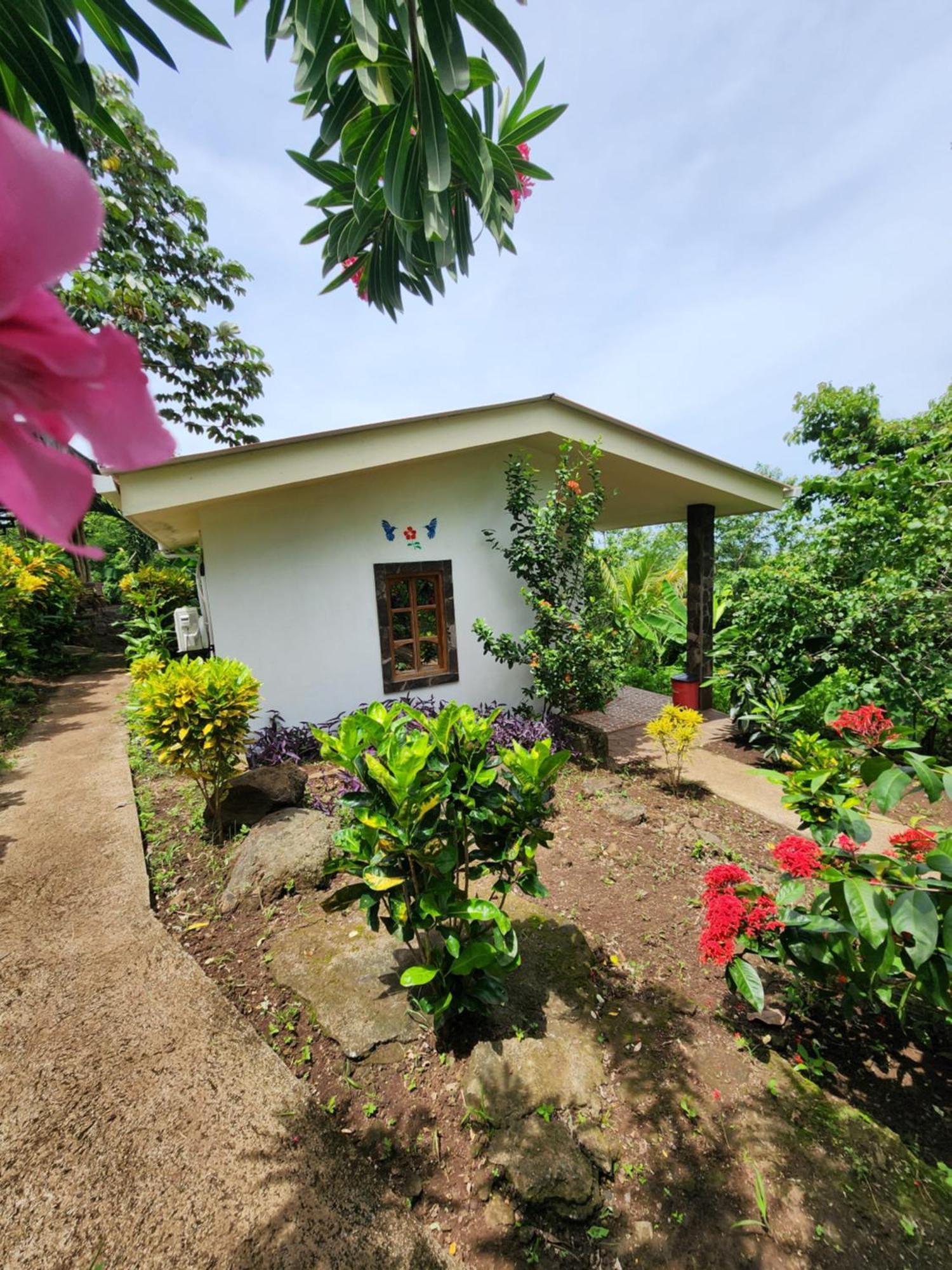 The Jungle Villa Merida Luaran gambar