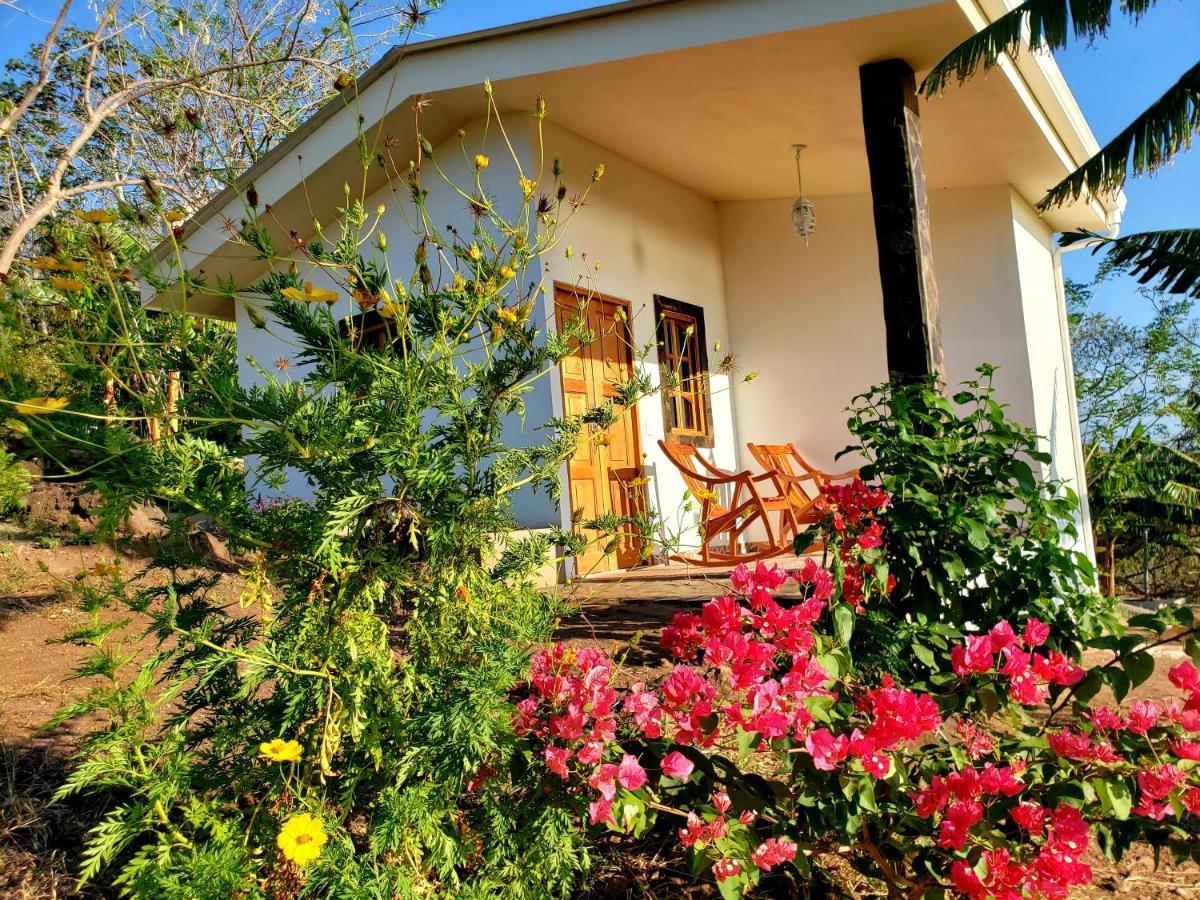 The Jungle Villa Merida Luaran gambar